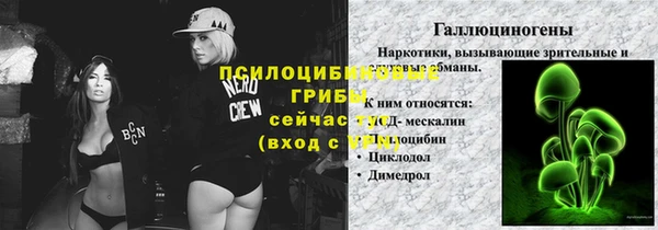 амф Кулебаки