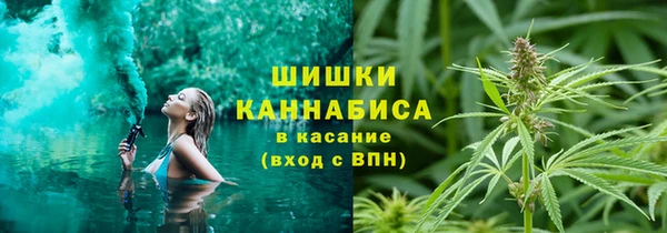 амф Кулебаки